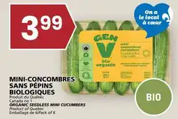 Rachelle-Bery Grocery ORGANIC SEEDLESS MINI CUCUMBERS offer