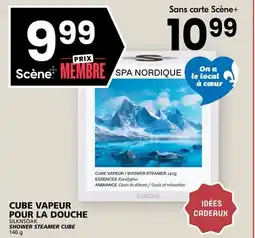 Rachelle-Bery Grocery SILKNSOAK SHOWER STEAMER CUBE offer