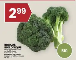 Rachelle-Bery Grocery ORGANIC BROCCOLI offer