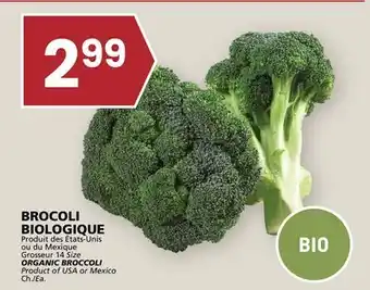 Rachelle-Bery Grocery ORGANIC BROCCOLI offer