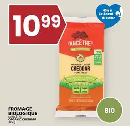 Rachelle-Bery Grocery L'ANCÊTRE ORGANIC CHEDDAR offer