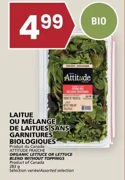 Rachelle-Bery Grocery ATTITUDE FRAÎCHE ORGANIC LETTUCE OR LETTUCE BLEND WITHOUT TOPPINGS offer