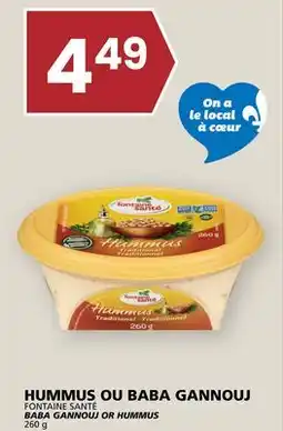 Rachelle-Bery Grocery FONTAINE SANTÉ BABA GANNOUJ OR HUMMUS offer