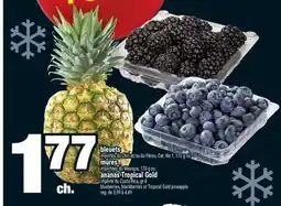 Super C BLEUETS OU MÛRES OU ANANAS TROPICAL GOLD | BLUEBERRIES, BLACKBERRIES OR TROPICAL GOLD PINEAPPLE offer
