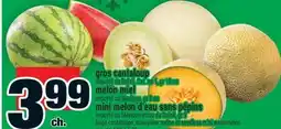 Super C GROS CANTALOUP | LARGE CANTALOUPE offer