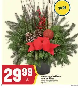 Marché Adonis ARRANGEMENT EXTÉRIEUR POUR LES FÊTES | OUTDOOR HOLIDAY ARRANGEMENT offer