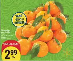 Marché Adonis CLÉMENTINES AVEC FEUILLES | STEM AND LEAF CLEMENTINES offer