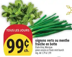 Marché Adonis OIGNONS VERTS OU MENTHE FRAÎCHE EN BOTTE | GREEN ONIONS OR FRESH MINT BUNCH offer