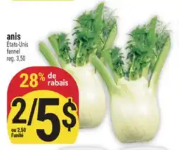Marché Adonis ANIS | FENNEL offer