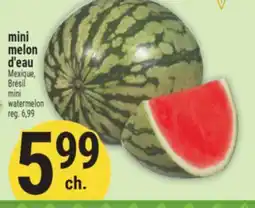Marché Adonis mini melon d'eau | Brésil mini watermelon offer