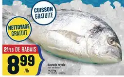 Marché Adonis DAURADE ROYALE | ROYAL SEA BREAM offer