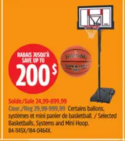 Canadian Tire Selected Basketballs, Systems and Mini Hoop offer