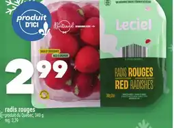 Marche Ami RADIS ROUGES offer