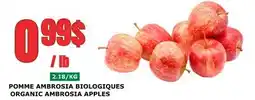 Marches Tau POMME AMBROSIA BIOLOGIQUES offer