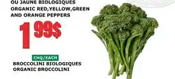 Marches Tau BROCCOLINI BIOLOGIQUES offer