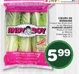 Marches Tradition ANDY BOY ROMAINE HEARTS offer