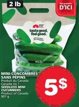 Marches Tradition SEEDLESS MINI CUCUMBERS offer