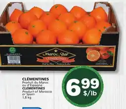 Marches Tradition CLEMENTINES offer