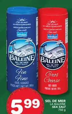 Marches Tradition LA BALEINE SEA SALT offer
