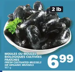 Marches Tradition FRESH CULTIVATED MUSSELS OR ORGANIC MUSSELS offer