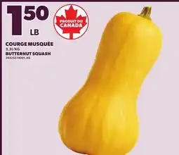 Provigo BUTTERNUT SQUASH offer