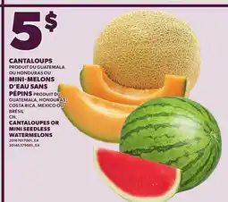 Provigo CANTALOUPES PRODUIT DU GUATEMALA OU HONDURAS OR MINI SEEDLESS WATERMELONS offer
