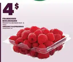 Provigo ORGANIC RASPBERRIES, 170 G offer