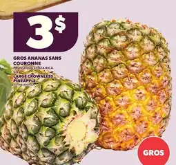 Provigo LARGE CROWNLESS PINEAPPLE offer