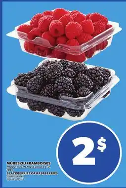 Provigo MÛRES OU FRAMBOISES, 170 G offer