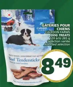 Marché Bonichoix CALEDON FARMS DOG TREATS offer