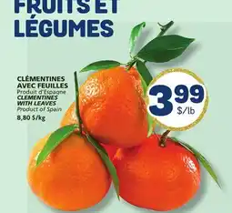 Marché Bonichoix CLEMENTINES WITH LEAVES offer