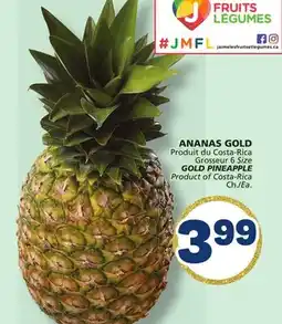 Marché Bonichoix GOLD PINEAPPLE offer