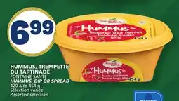 Marché Bonichoix FONTAINE SANTE HUMMUS, DIP OR SPREAD offer