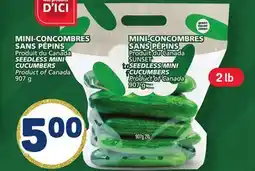 Marché Bonichoix SEEDLESS MINI CUCUMBERS offer