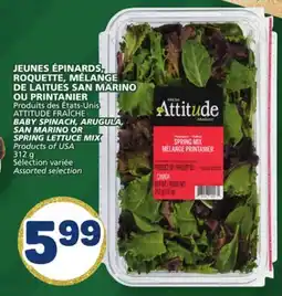 Marché Bonichoix ATTITUDE FRAÎCHE BABY SPINACH, ARUGULA, SAN MARINO OR SPRING LETTUCE MIX offer