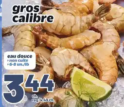 Metro GROS CALIBRE offer