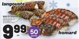 Metro QUEUE DE HOMARD | FROZEN LOBSTER TAIL offer