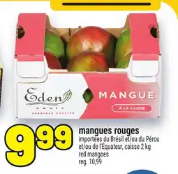 Metro MANGUES ROUGES | RED MANGOES offer