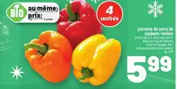 Metro POIVRONS DE SERRE DE COULEURS VARIÉES | HOTHOUSE ASSORTED COLORS PEPPERS offer
