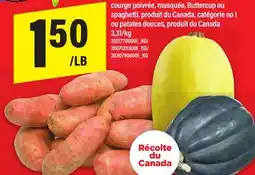 Maxi COURGE POIVRÉE, MUSQUÉE, BUTTERCUP OU SPAGHETTI, 3,31/KG offer