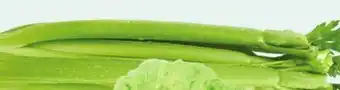 Giant Tiger Celery offer