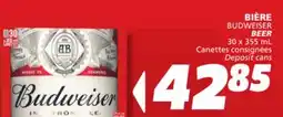 IGA BUDWEISER BEER offer
