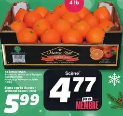IGA CLEMENTINES offer