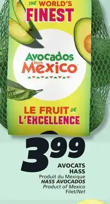 IGA HASS AVOCADOS offer