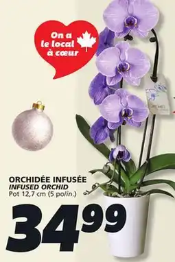 IGA INFUSED ORCHID offer