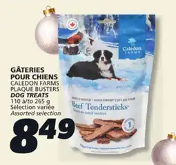 IGA CALEDON FARMS PLAQUE BUSTERS DOG TREATS offer