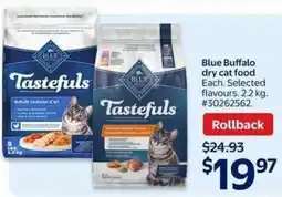 Walmart Blue Buffalo dry cat food offer
