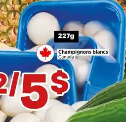 Val-Mont Champignons blancs Canada offer