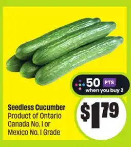 FreshCo Seedless Cucumber Product of Ontario Canada No. 1 or Mexico No. 1 Grade offer