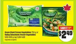 FreshCo Green Giant Frozen Vegetables 750 g or Valley Selections Frozen Vegetables 400-500 g offer